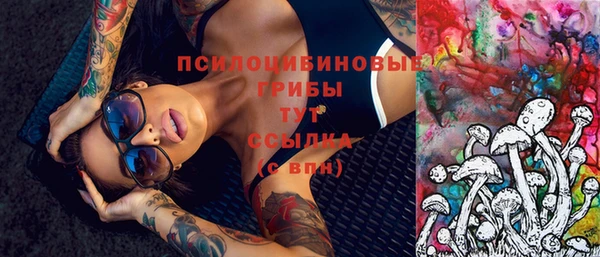 дживик Балахна