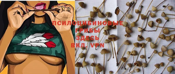дживик Балахна